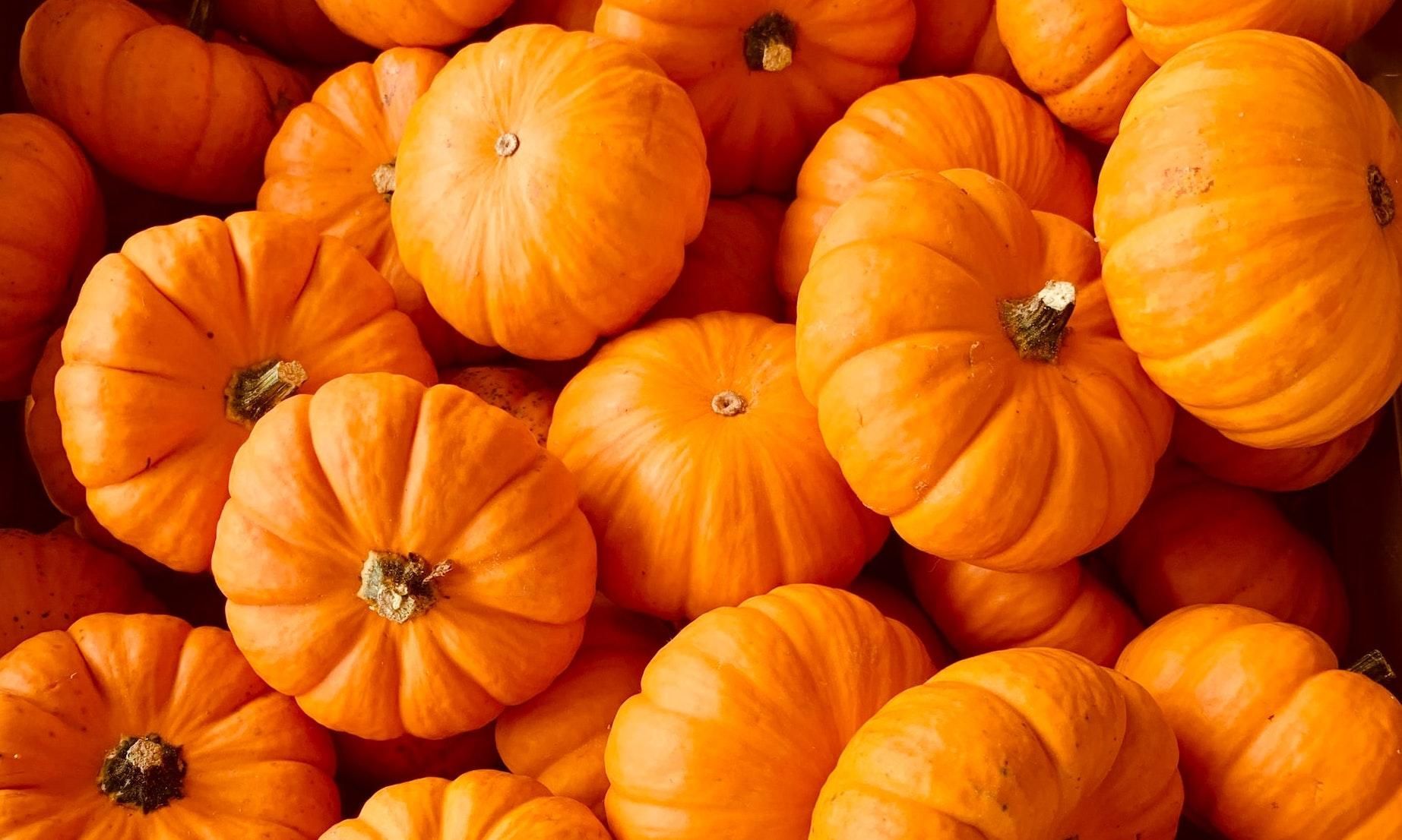 Élvezzük a hosszú hétvégét egy finom sütőtökös pohárdesszerttel