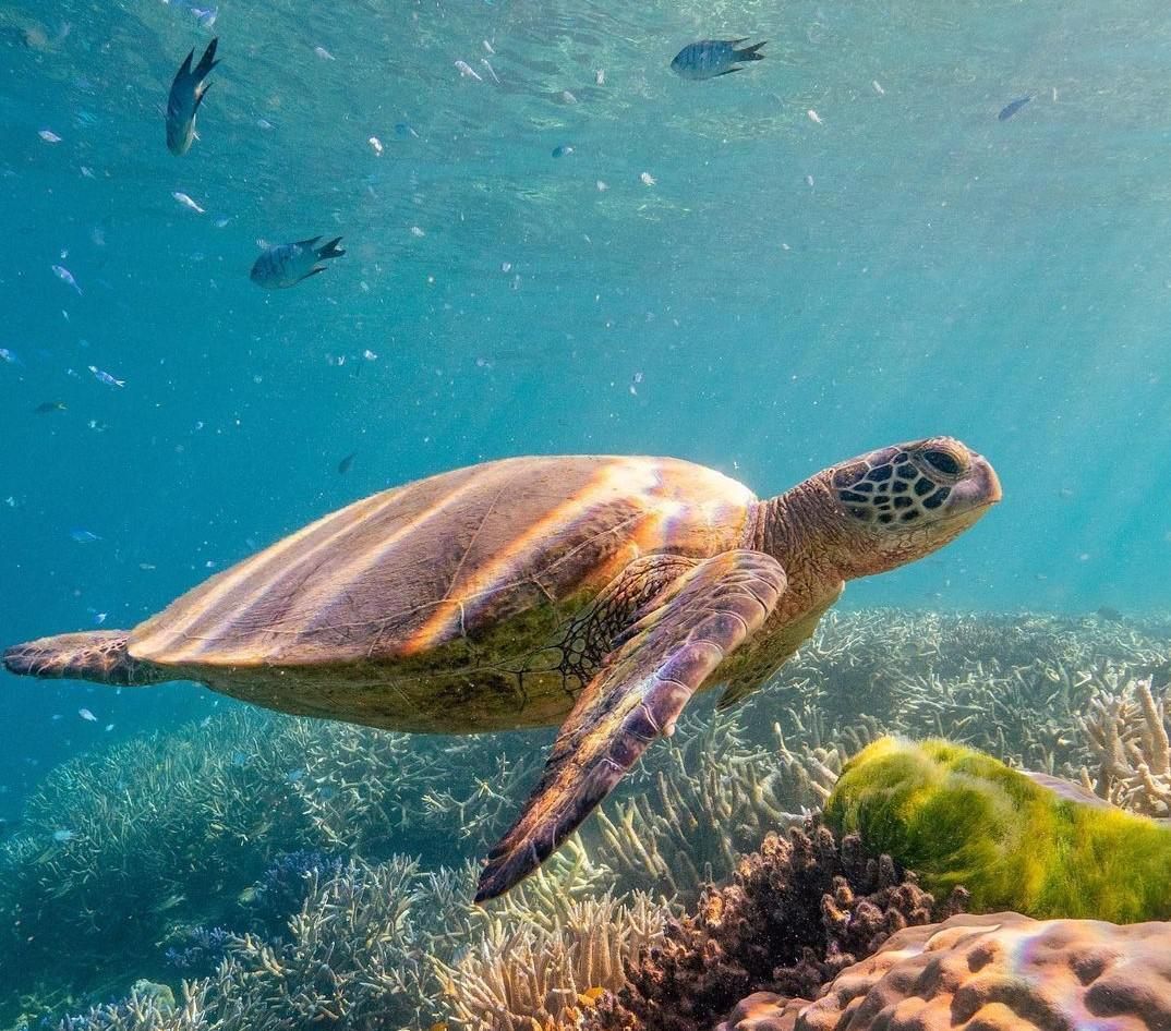 Megnyílt Ausztrália első víz alatti szállodája