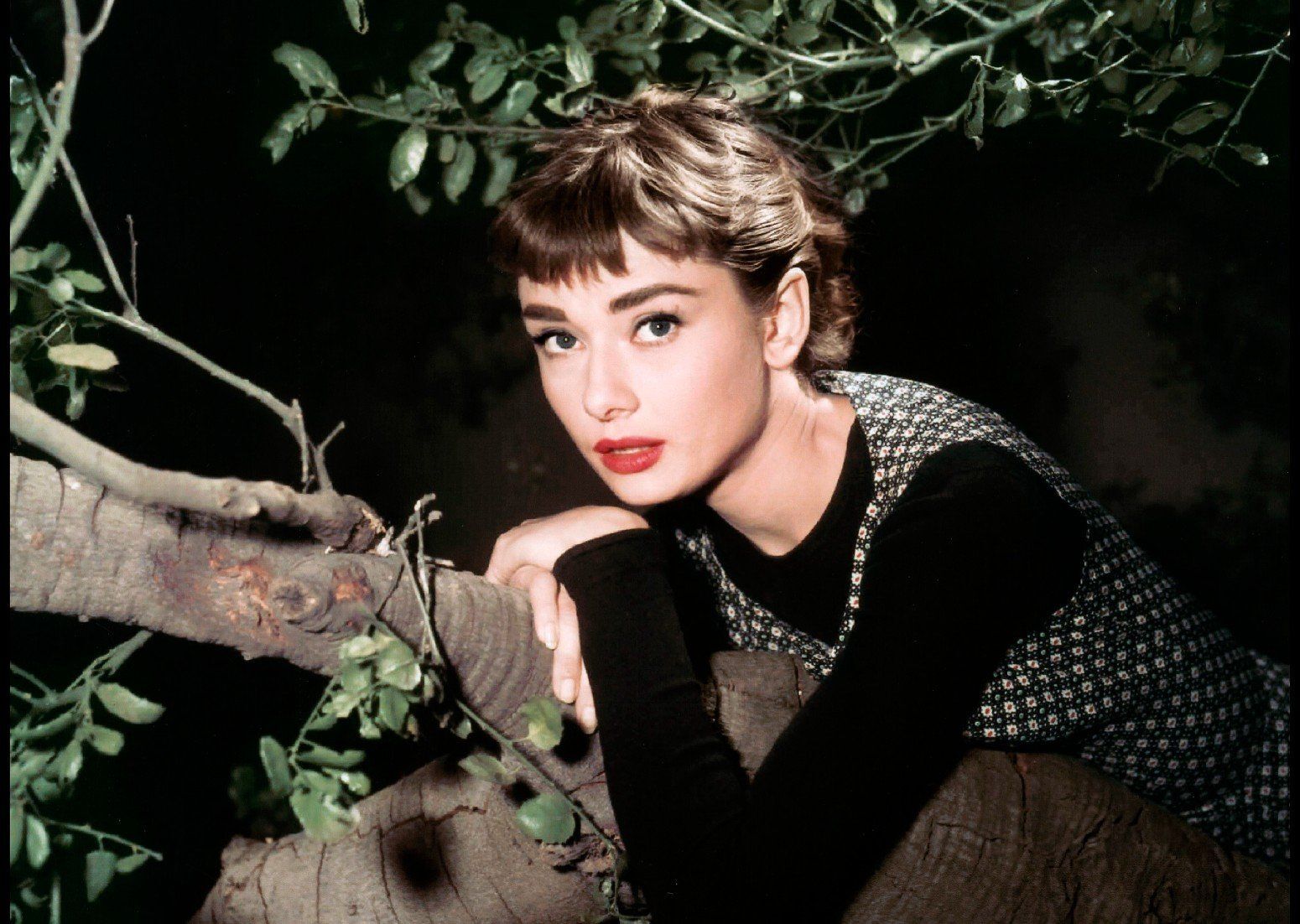 Nem hiába viselte mindig ezt a virágos parfümöt Audrey Hepburn