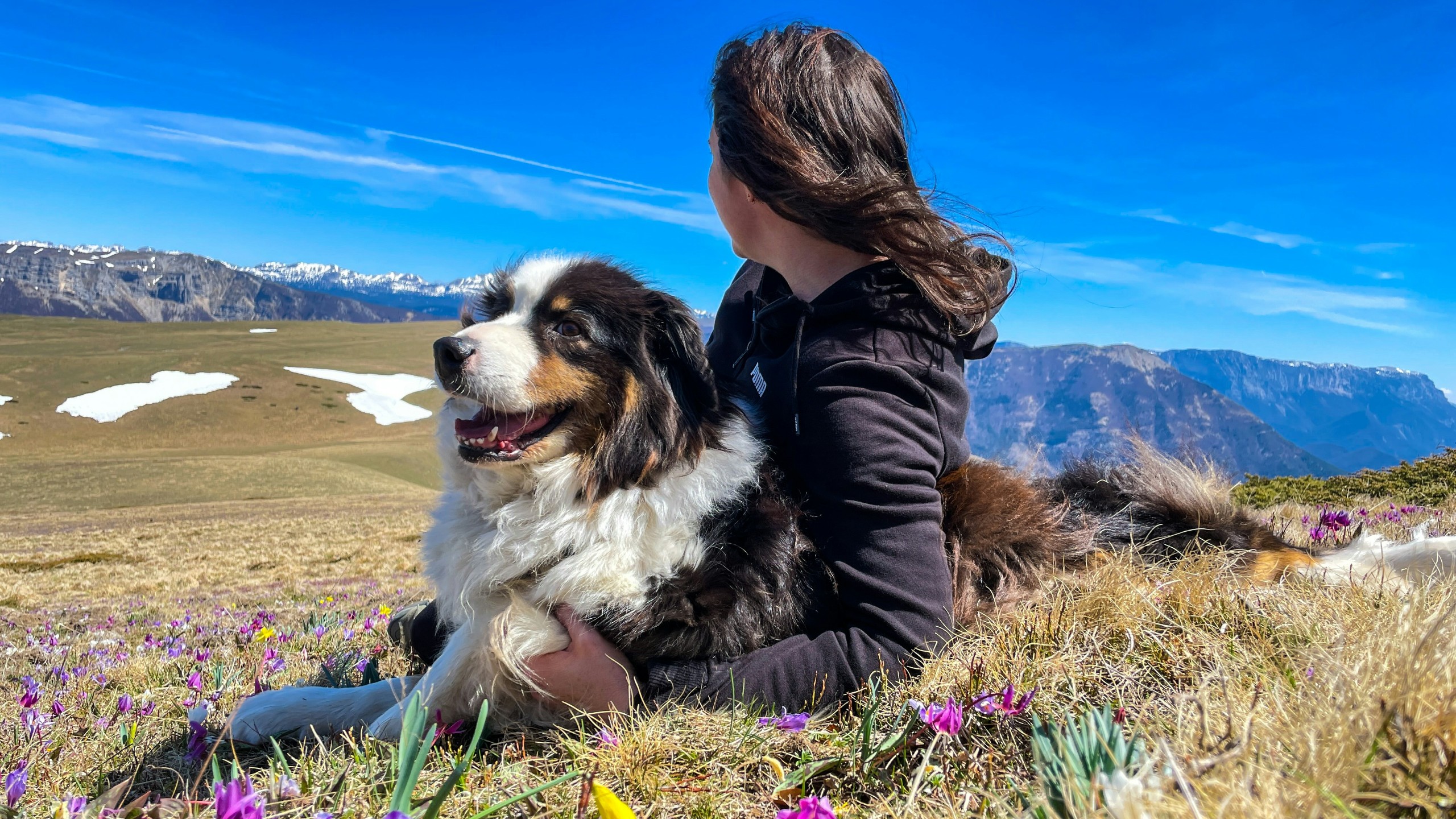 Ez az oka, hogy az emberek hasonlítanak a kutyáikra