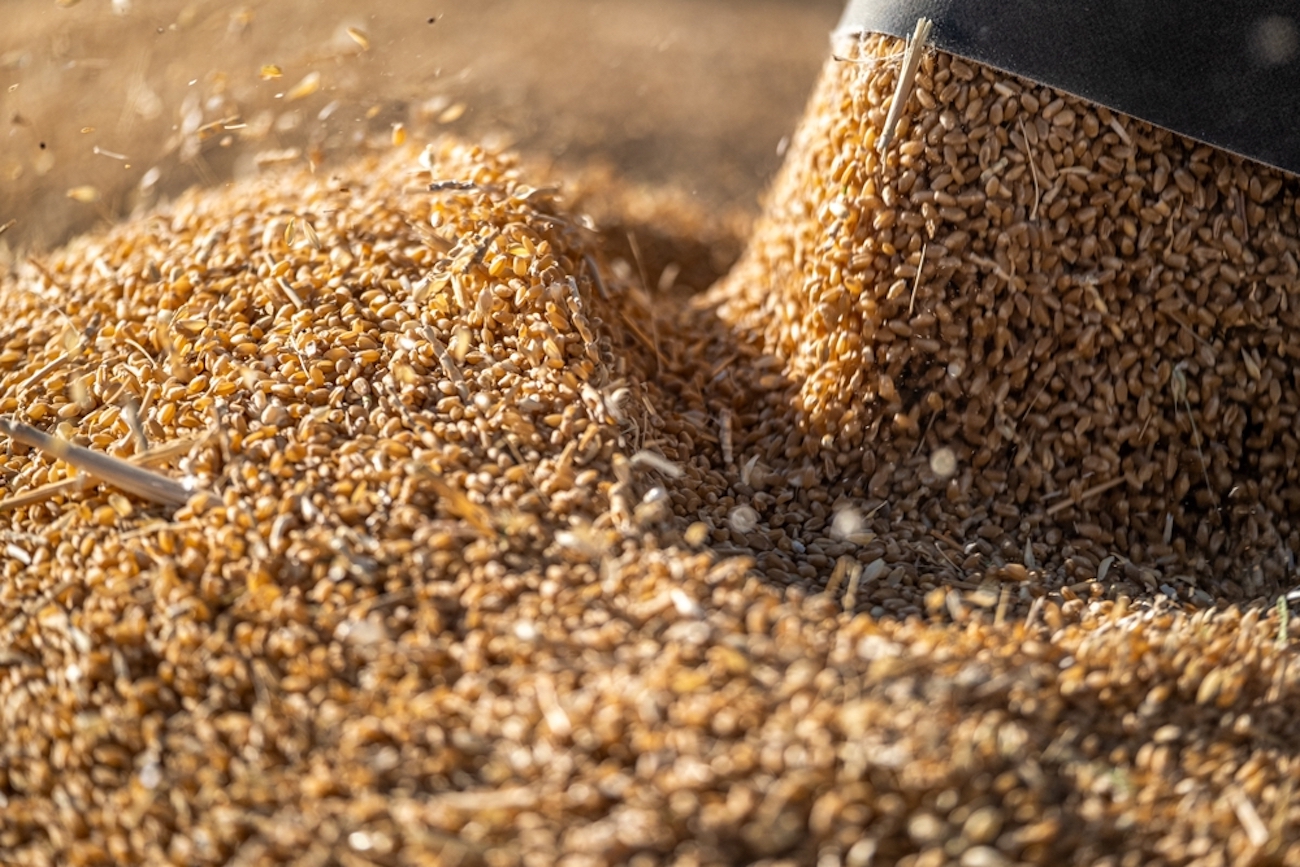 12 magas fehérjetartalmú gabona, hogy az étkezésed még teljesebb legyen