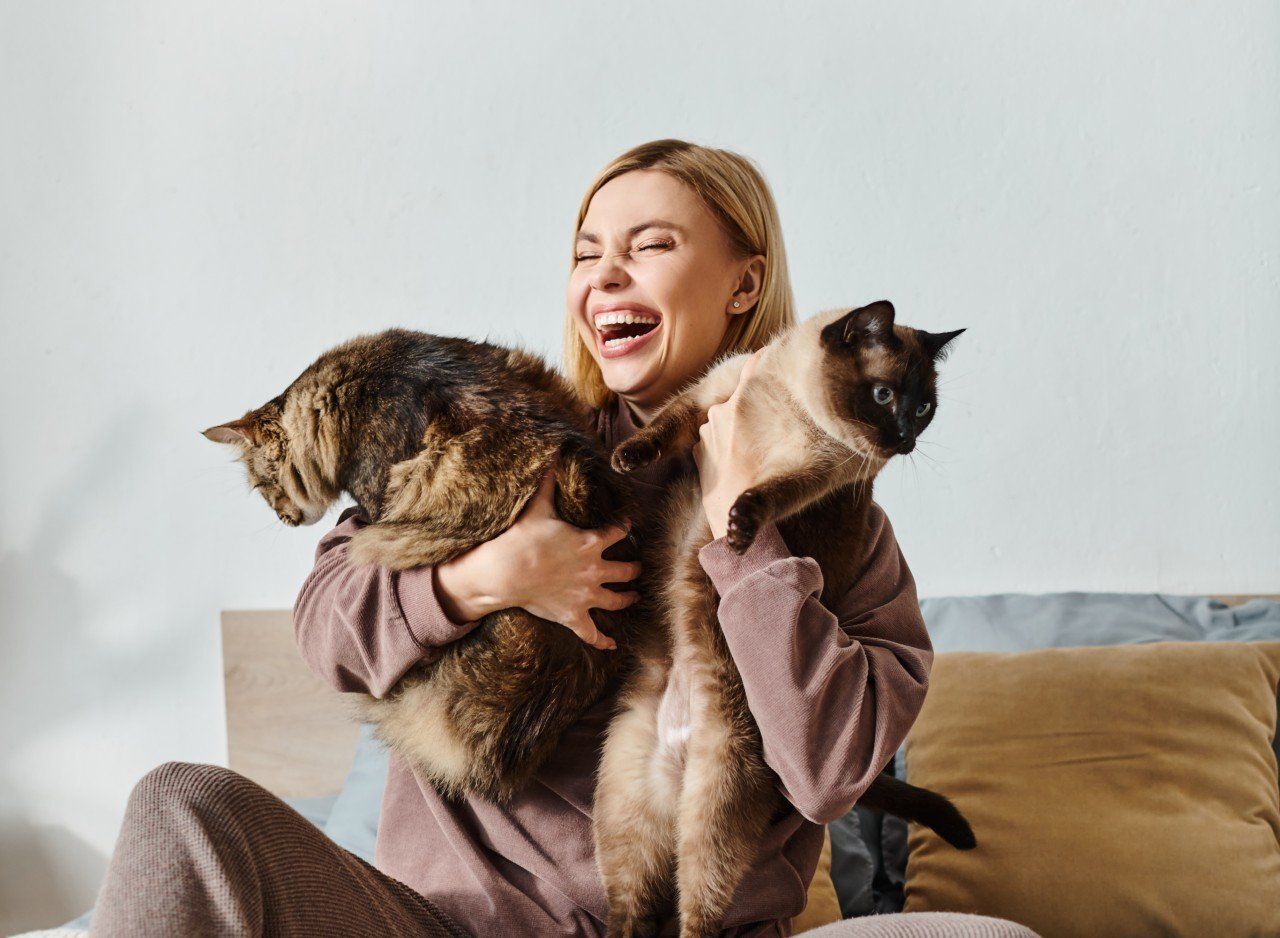 Nem is gondolnád, milyen pozitív egészségügyi hatásokkal jár a cicatartás