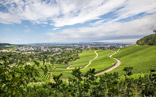 borvid&eacute;k Heilbronn l&aacute;tk&eacute;p&eacute;vel / Markus Zeller, Shutterstock