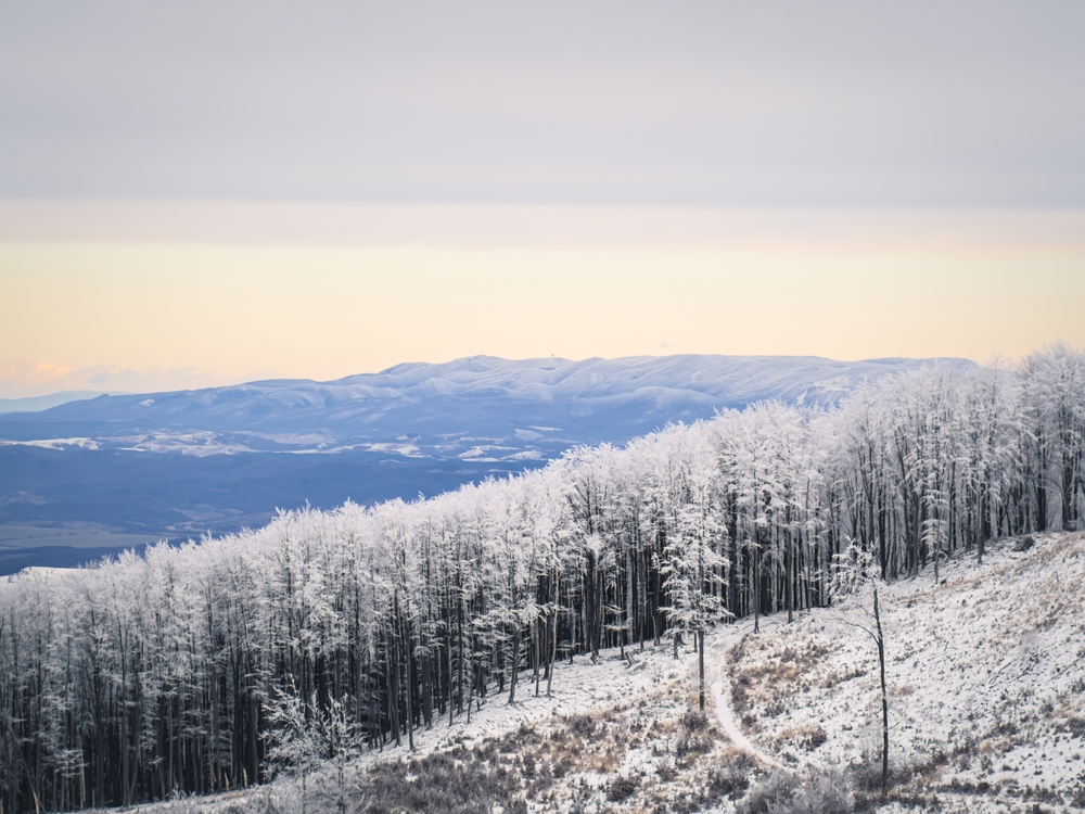 Íme a friss előrejelzés: fehér karácsonyra számíthatunk idén?