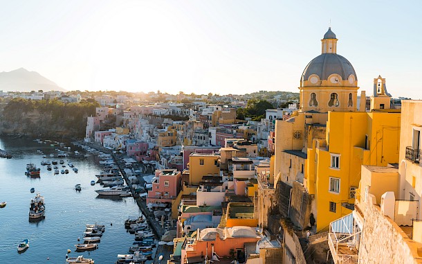 Polonio Video/Shutterstock