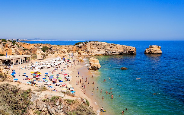 saiko3p/Shutterstock