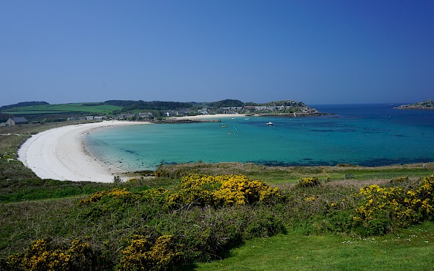 Timothy Dry/Shutterstock