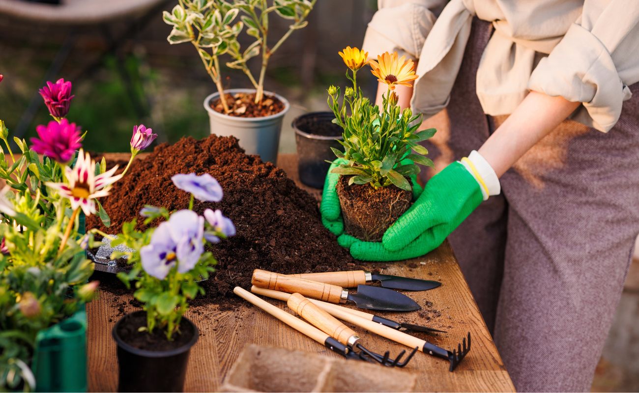 Egy apró örömforrás, ami segít elűzni a téli depressziót