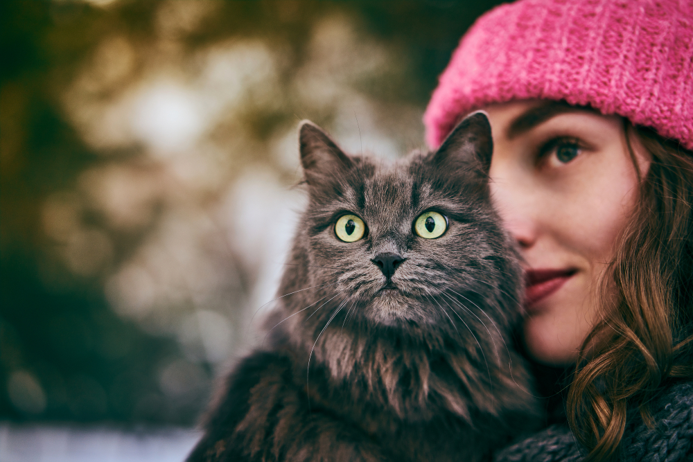 A macskatartás megduplázhatja a skizofrénia kockázatát