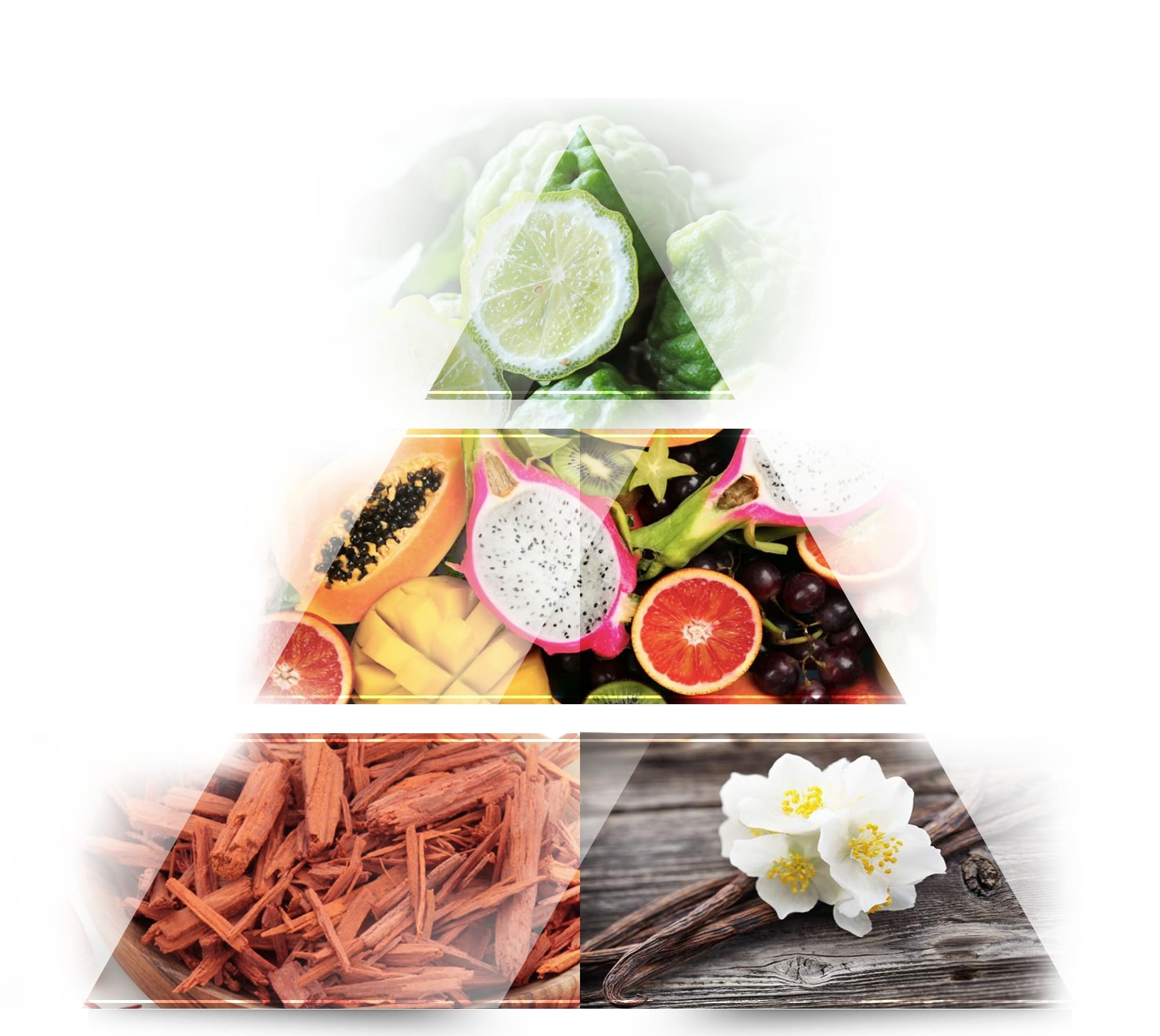 A parfüm, ami egyből egy trópusi nyaralásra repít: La Rive Saffira