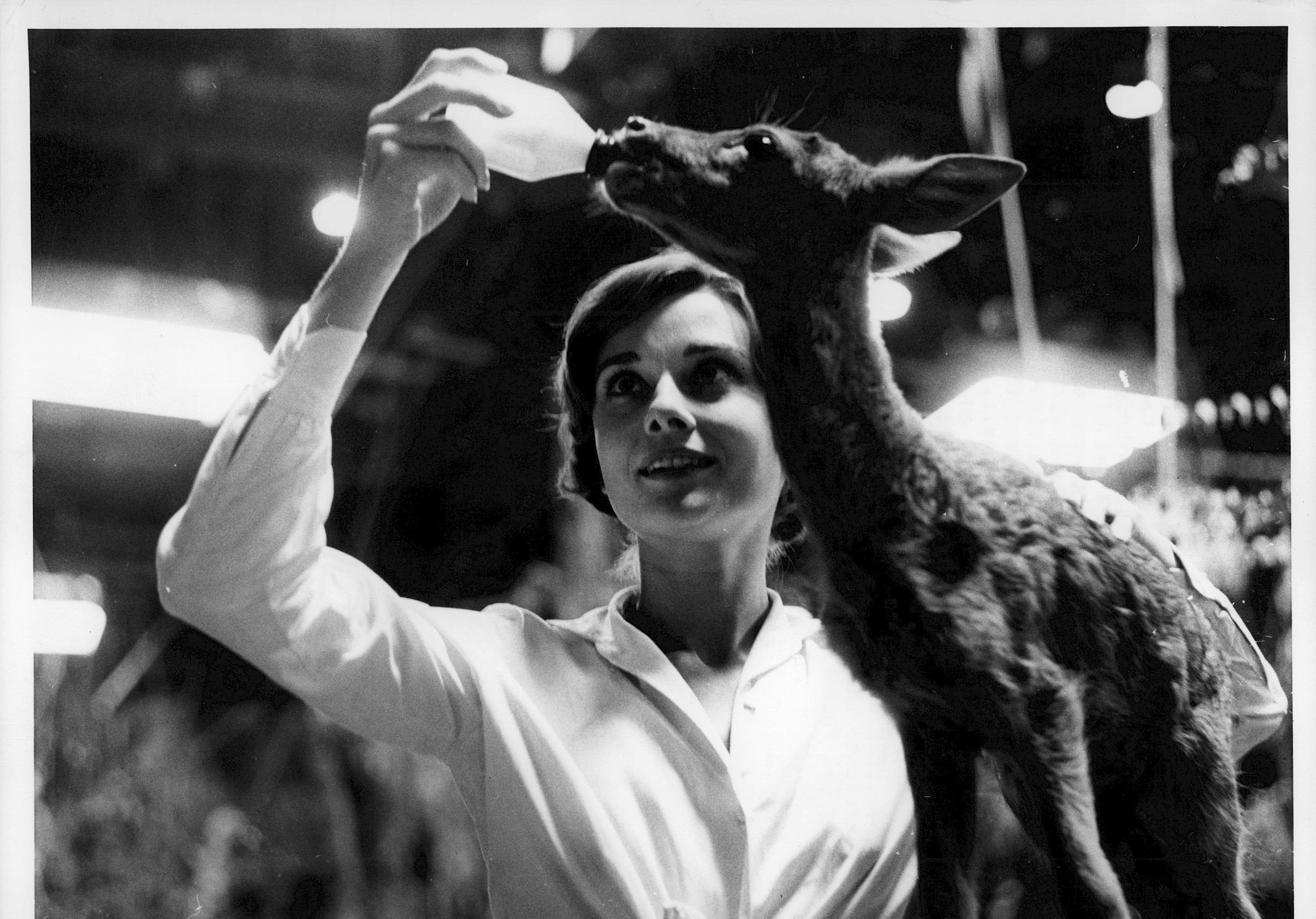 8 híres ember, aki szokatlan háziállatokat tartott otthon