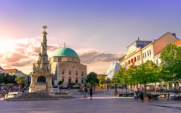 berni0004/Shutterstock