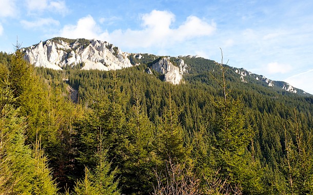 Florin34/Shutterstock