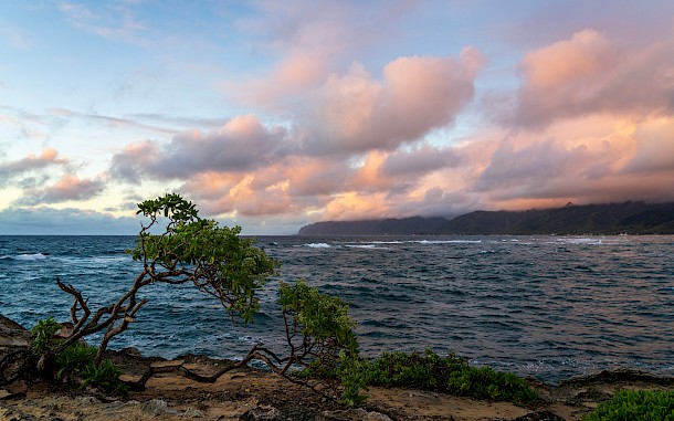 James Dalrymple/Shutterstock