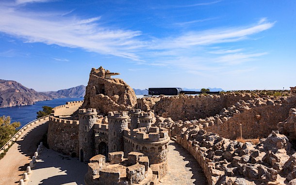 Anetlanda/Shutterstock