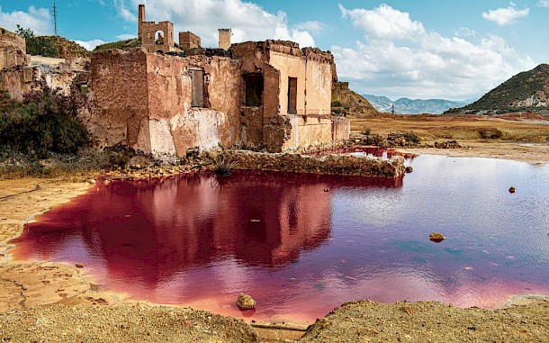 Maria Jose R/Shutterstock