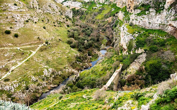 Hanneke Wetzer/Shutterstock