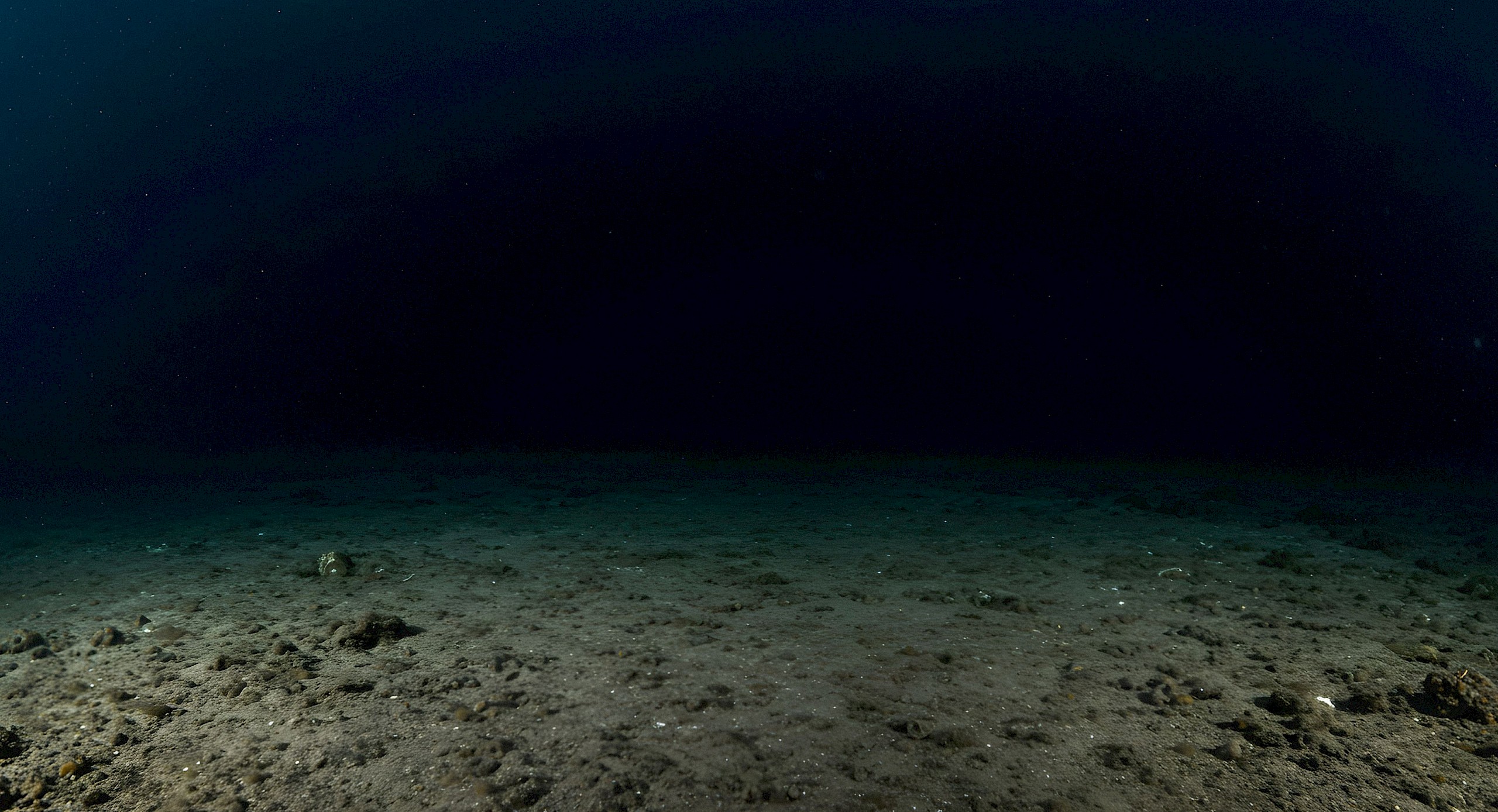 Furcsa sárga köves utat találtak a kutatók az óceán mélyén