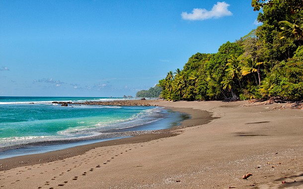 Danuta Hyniewska/Shutterstock