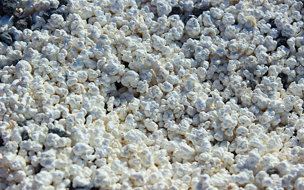 Hector M M/Shutterstock