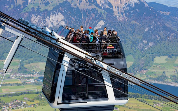 Judith Linine/Shutterstock