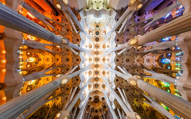 David Herraez Calzada/Shutterstock