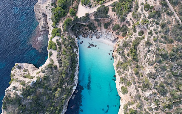 Chloe Sasha/Shutterstock