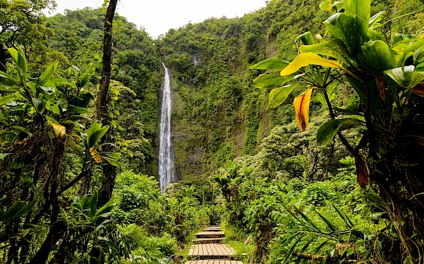 Cali Southwell Pictures/Shutterstock