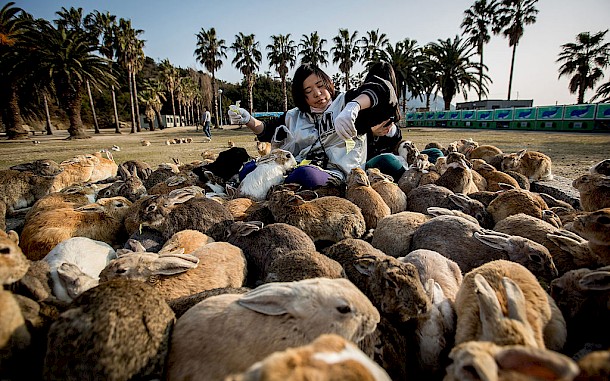 Chris McGrath/Getty Images