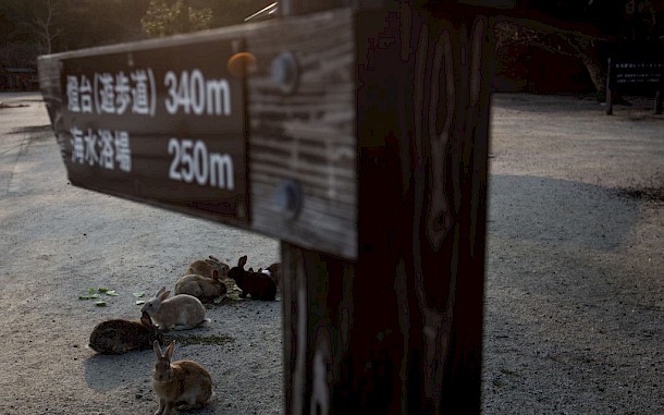 Chris McGrath/Getty Images