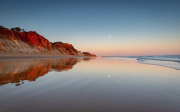 agaglowala/Shutterstock