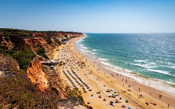 Denis Comeau/Shutterstock