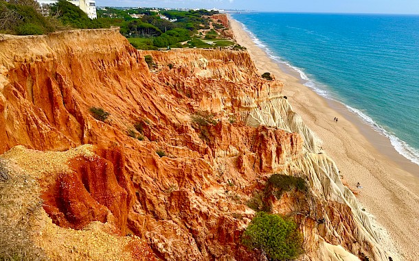 guentermanaus/Shutterstock