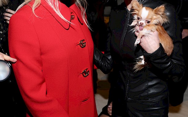 Daniele Venturelli/Getty Images for Gucci