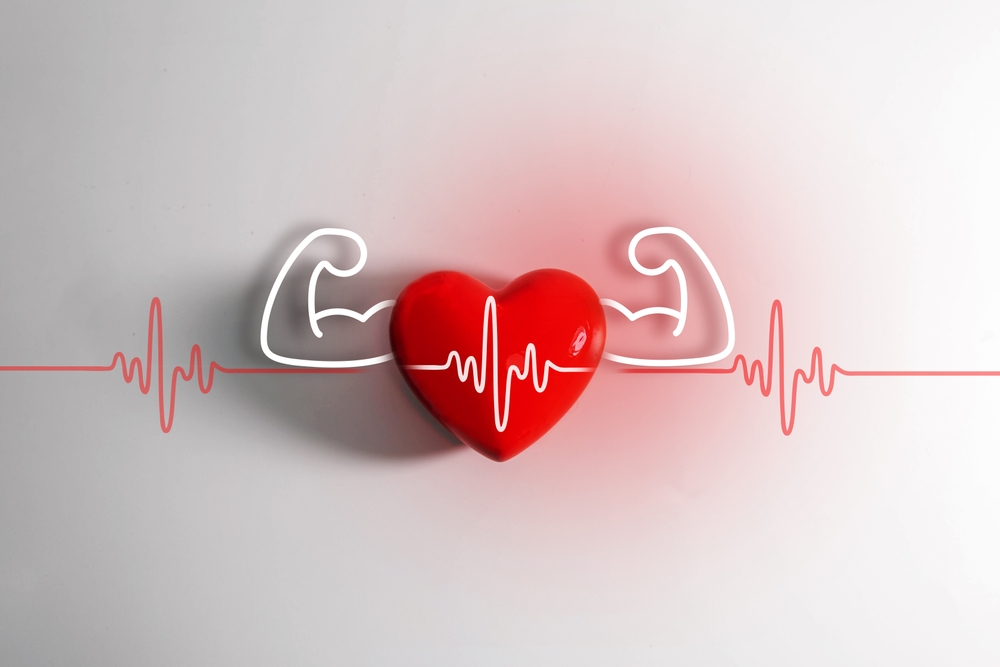 Új tanulmány: nem a zsírszegény étrend a szív egészségének kulcsa