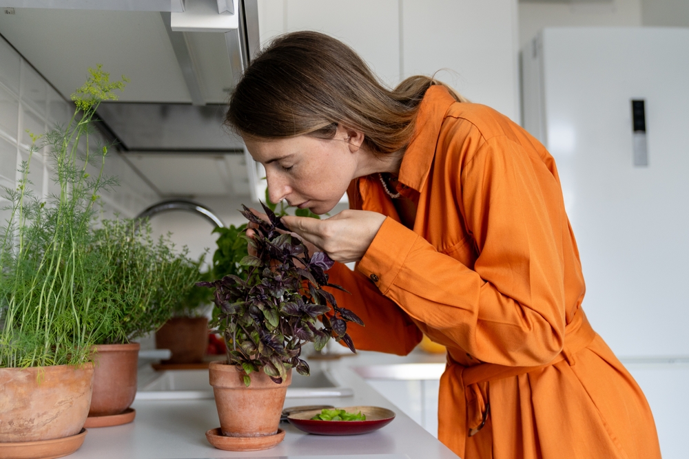 7 zöldség és gyümölcs, amit kert nélkül is termeszthetsz idén tavasszal