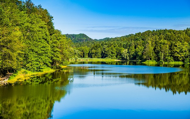 Ilija Ascic/Shutterstock