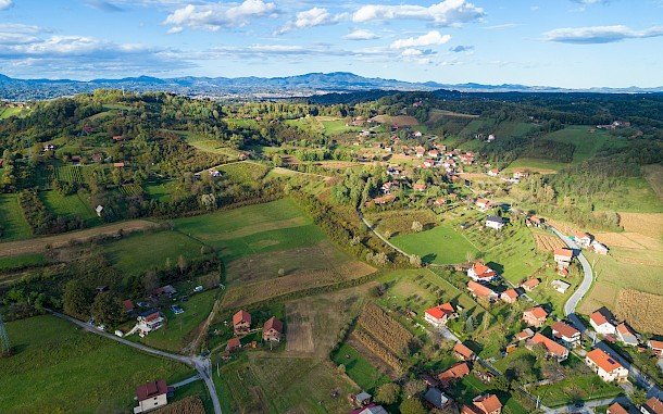 Zoran Pajic/Shutterstock