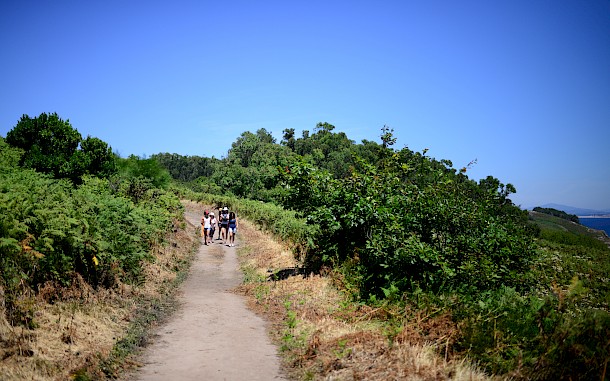 Nano Calvo / VWPics/Universal Images Group via Getty Images