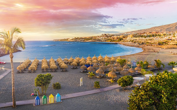 Balate.Dorin/Shutterstock