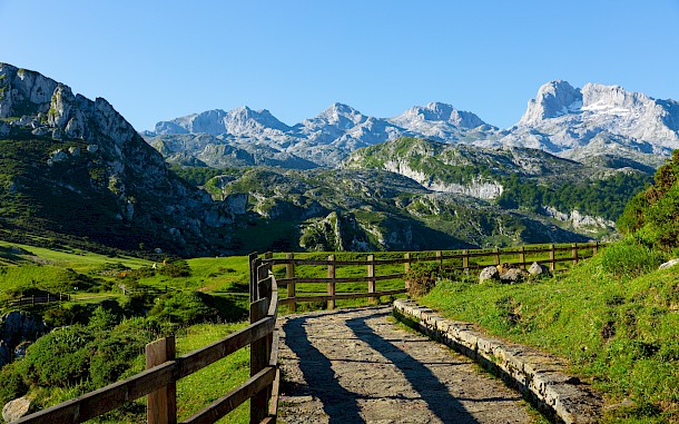 BearFotos/Shutterstock