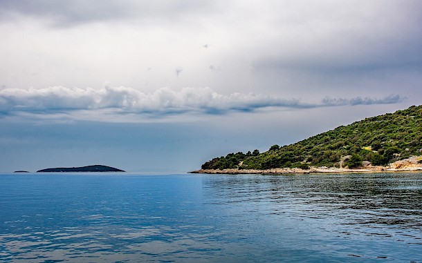 Dragoncello/Shutterstock