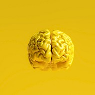 r.classen/Shutterstock