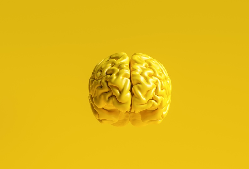 A mentális látás különös működése: így hoz létre képeket az agyunk