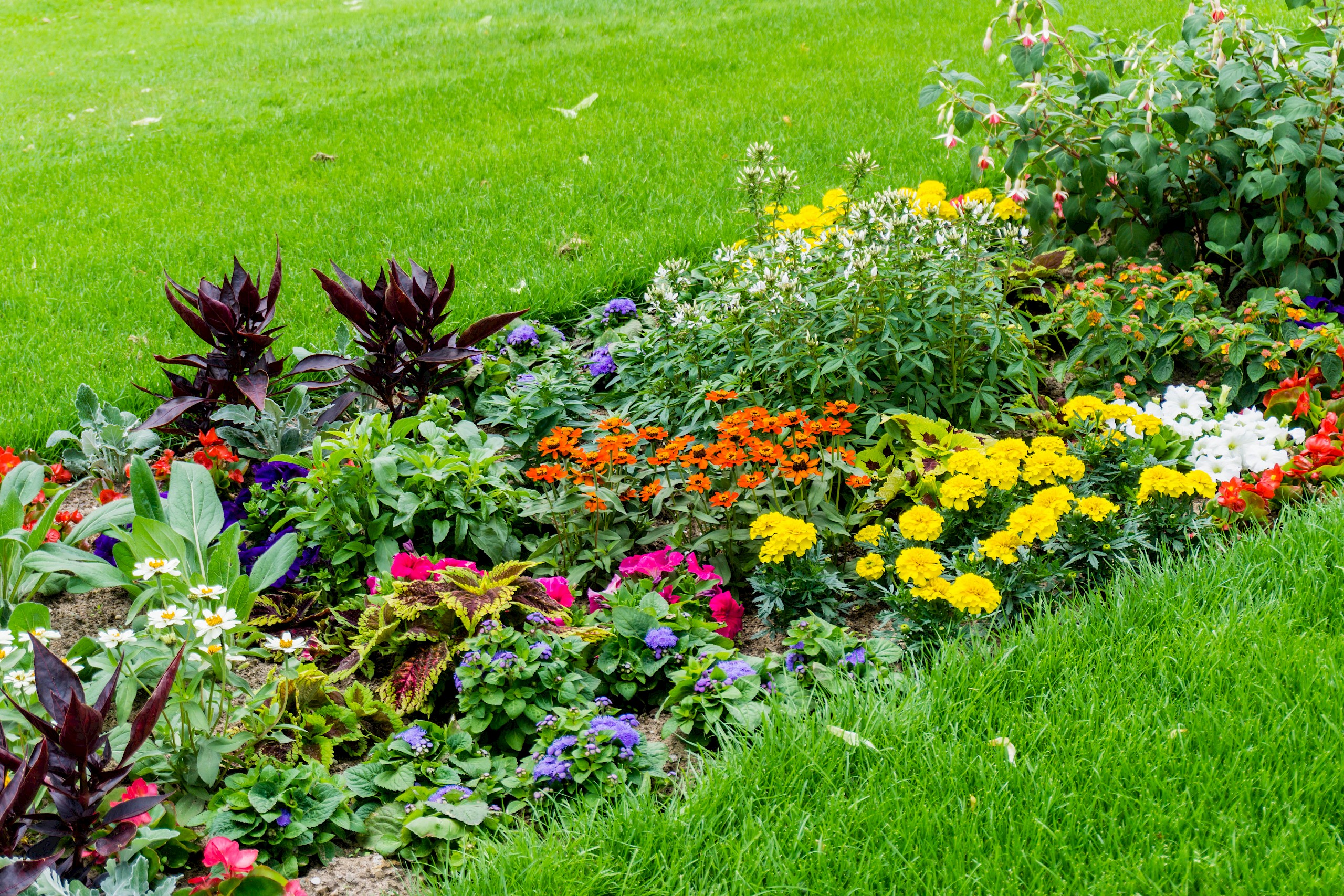 5 egyszerű lépés egy virágágyás kialakításához, ami egész nyáron pompázik