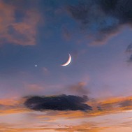 Nazarii_Neshcherenskyi/Shutterstock