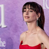 lev radin/Shutterstock