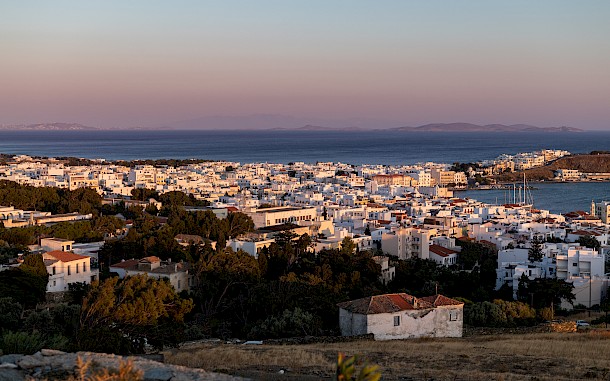 Anna Mente/Shutterstock