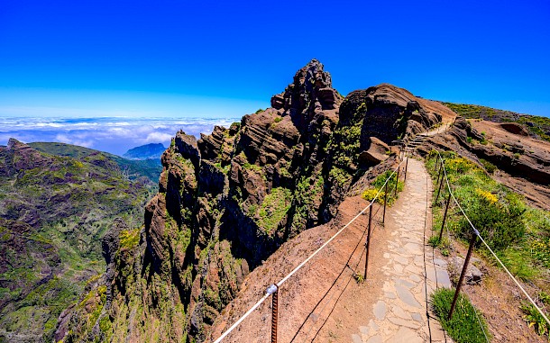 Simon Dannhauer/Shutterstock