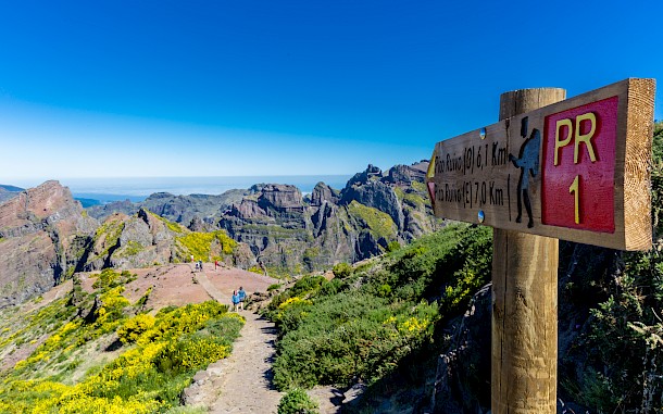 Castro Cicero/Shutterstock